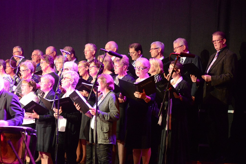 ../Images/Jubileumconcert 100 jaar Harpe Davids 099.jpg